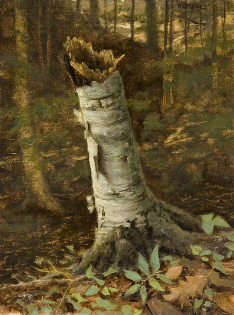 “Woodland Stump“, 11x14, oil on linen