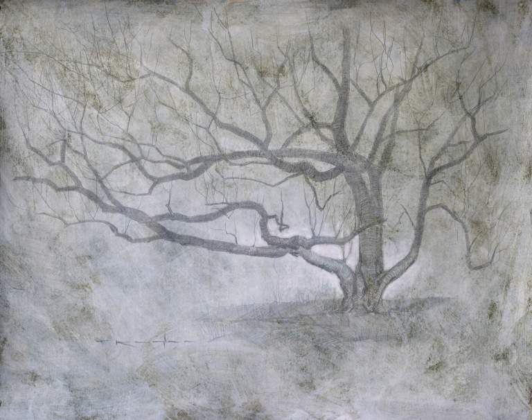 "Tree Study", 9x12 silverpoint on toned paper